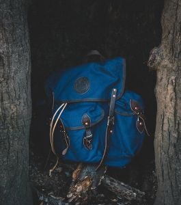 Wanderer Duffle Bag in Blue in Woods Copy