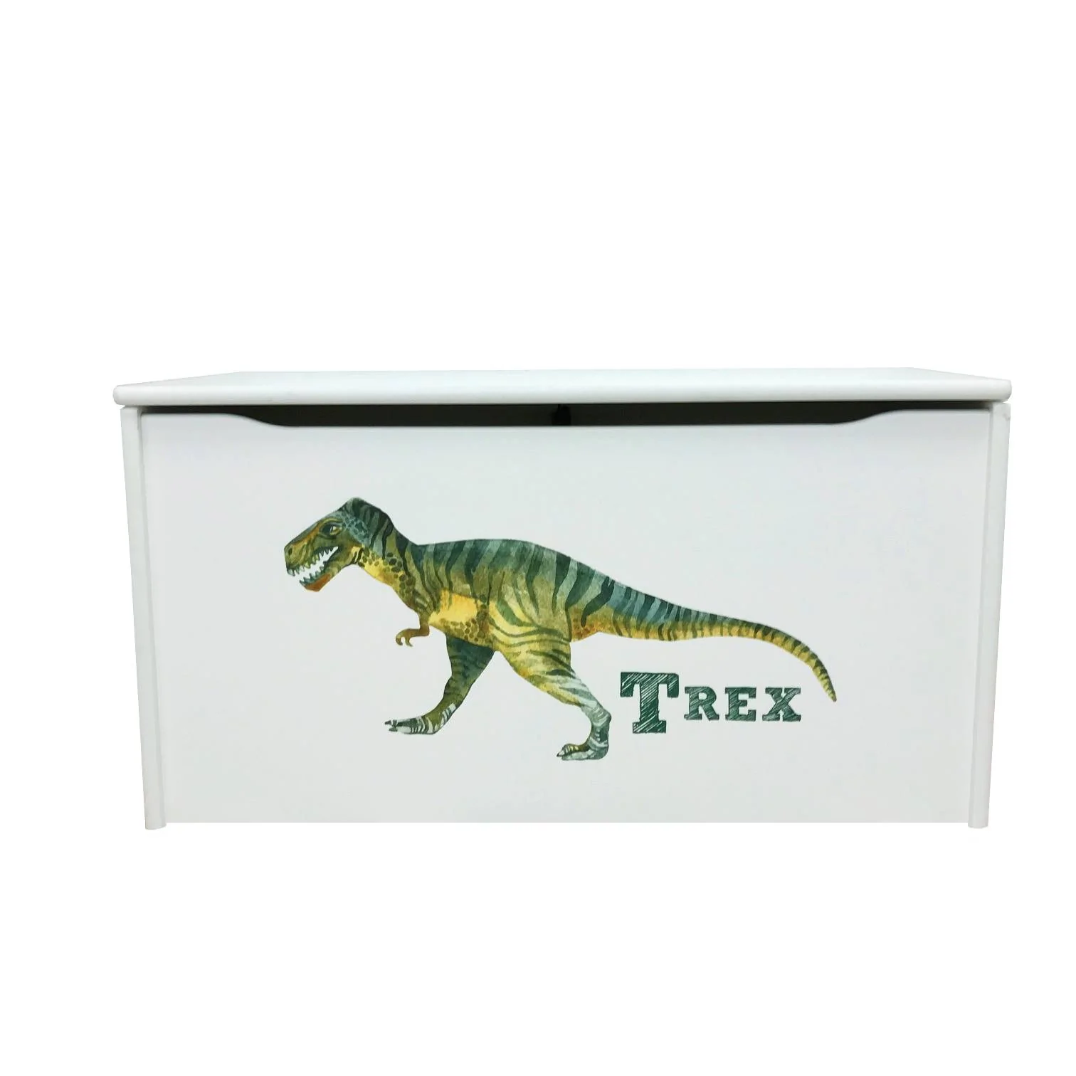 Little Rex Dinosaur Printed White Toy Storage Box